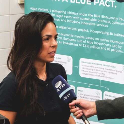 GreenCoLab lança Projeto “Algas no Menu”