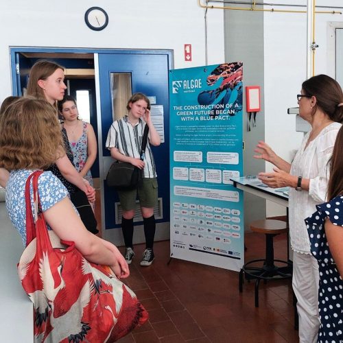 Finnish Students Visited MARE