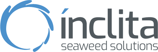 LOGO_ISS (1)
