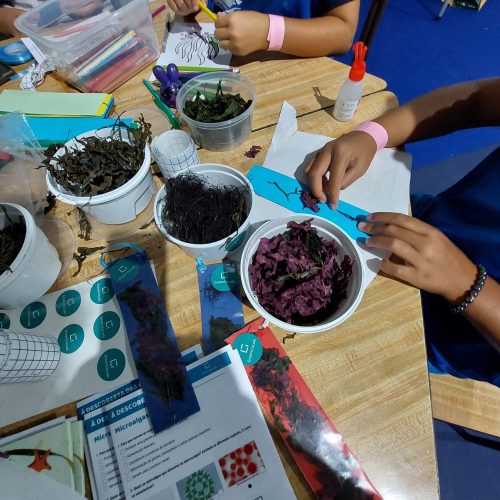 Algae and Science at Festival F: GreenCoLab brings young people closer to the blue world